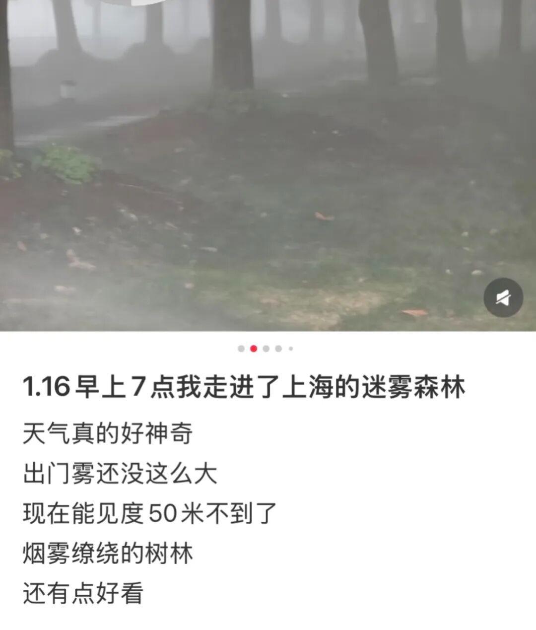 买马挣钱网站app-上海：入冬以来最强雨雪冰冻将袭！网友：没见过这么大雾，路口竟看不到红绿灯！