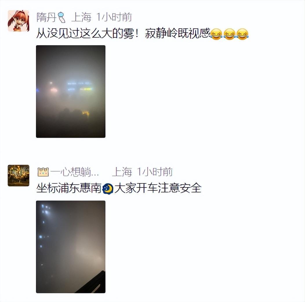 买马挣钱网站app-上海：入冬以来最强雨雪冰冻将袭！网友：没见过这么大雾，路口竟看不到红绿灯！